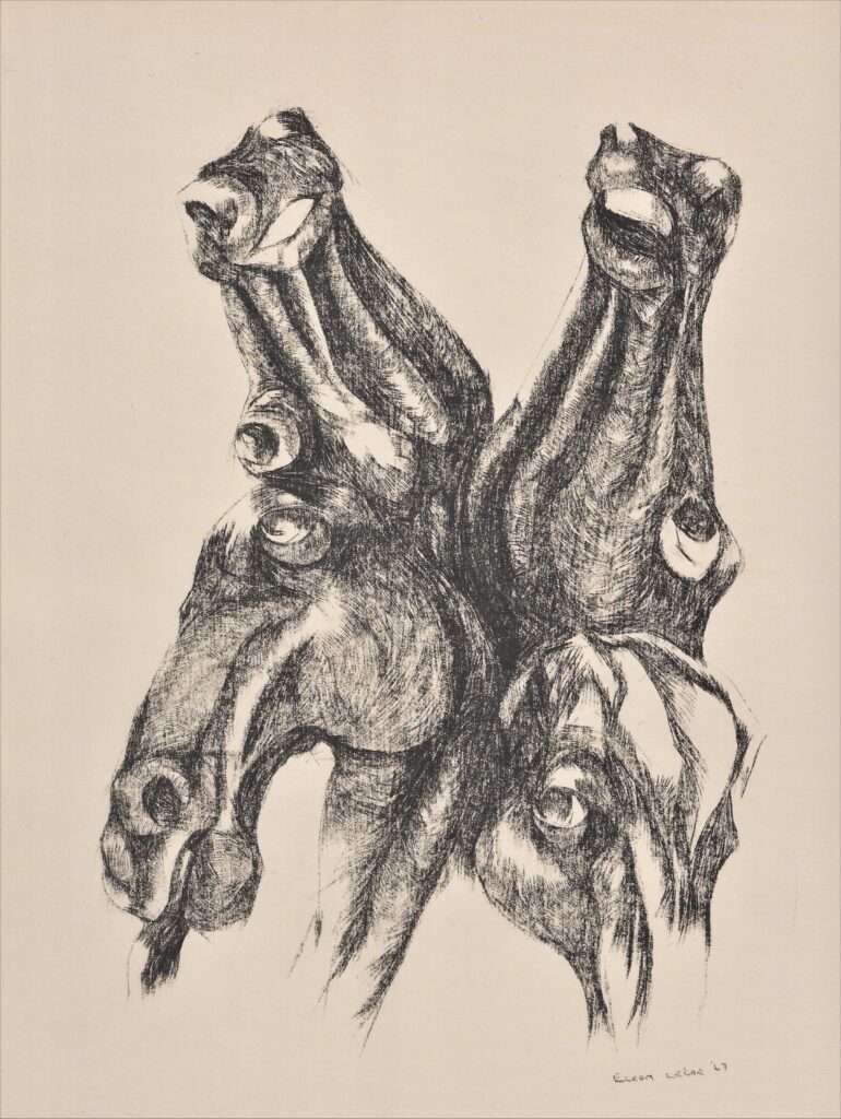 Xlez017 Horse, Four Stages Of Dying (1)