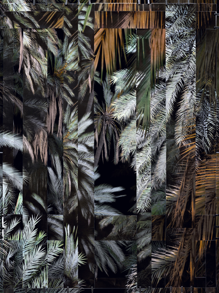 Noémie Goudal French, born 1984 Phoenix V, 2021 Dye coupler print, purchase through funds provided by patrons of Collectors Evening 2023, 2023.360